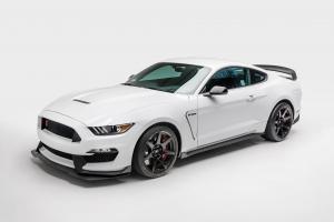 Shelby GT350R Mustang (F0023) '2015